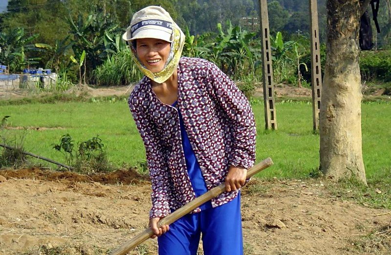 04VN-Le travail est dur, mais elle sourit, quelque part entre Hoi an & nha Trang