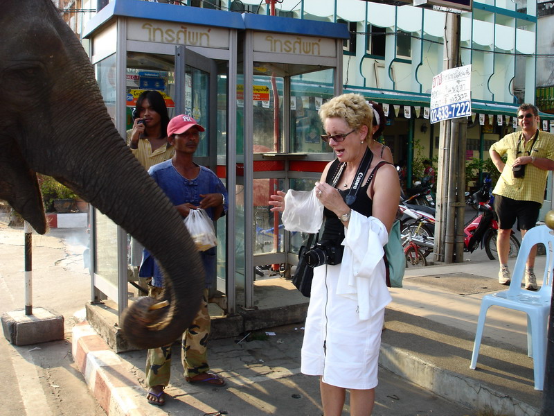 06-TH-Elle nourrit les elephants, moi je meurs de faim, Ban Phe