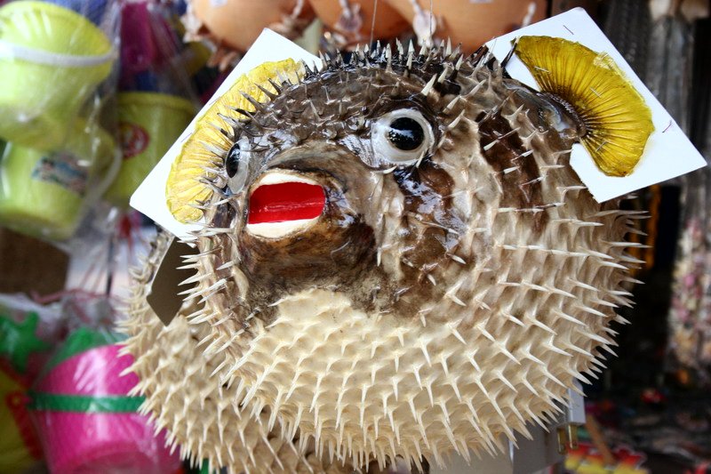 06-TH-Pas comestible, Bang saeng