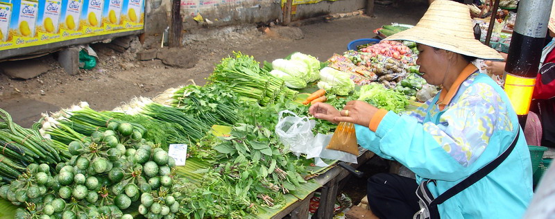 06-TH-Superbes, les legumes, plus frais tu meurs, UdonTani